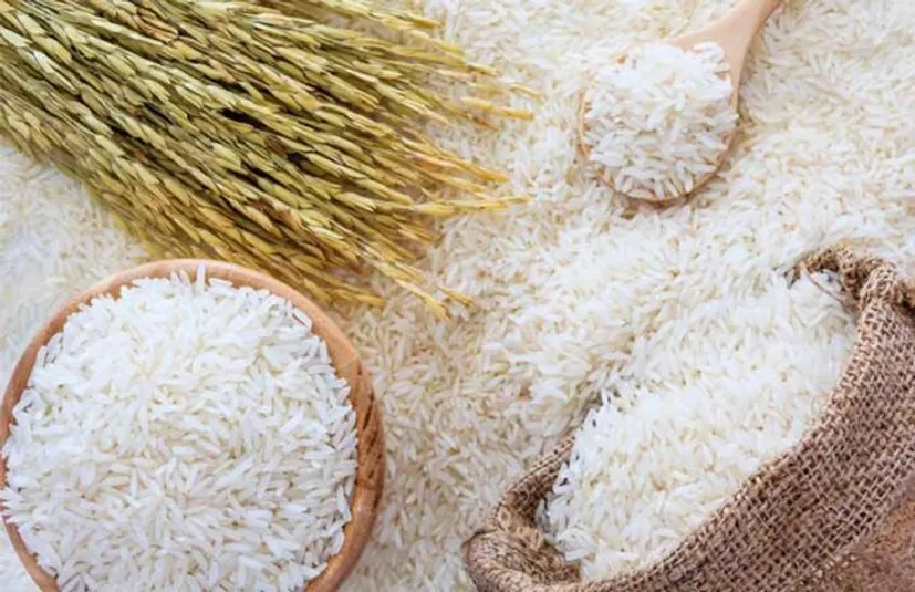 هشدار درباره جهش قیمت برنج؛ واردات نصف شد و یک میلیارد دلار طلب روی زمین ماند