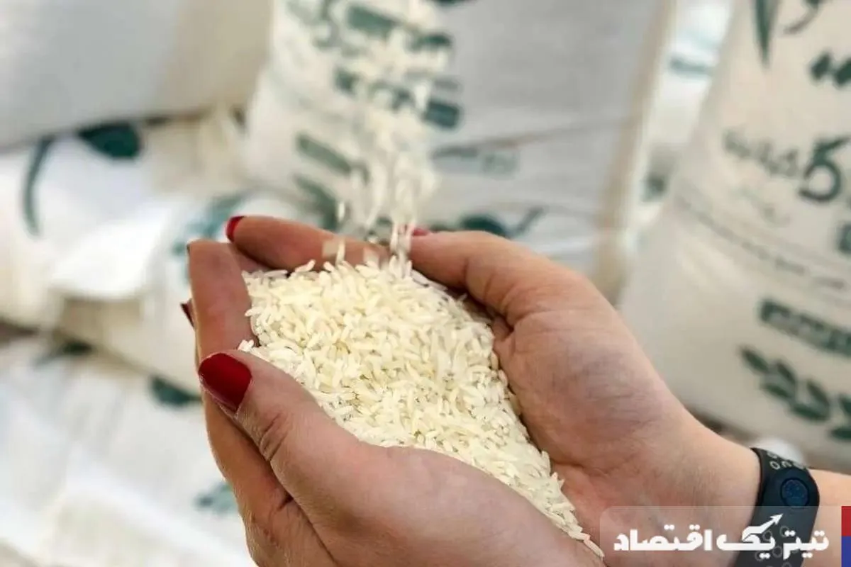 قیمت برنج ایرانی به آسمان رسید: صداهای تولیدکنندگان برای تغییر سیاست&zwnj;های ارزی