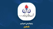 شکبیر با نصف فروش، پول بیشتری ساخت؛ رشد درآمد تا کجا به گرانی پلی‌اتیلن وابسته است؟