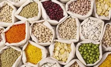قیمت حبوبات امروز ۱۶ مرداد ۱۴۰۵؛ لوبیا چیتی کیلویی ۵۸۰ هزار تومان، ارزانی در راه است؟