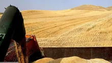 ۲۳۷ همت از پول گندمکاران پرداخت نشده؛ خودکفایی و صادرات چقدر واقعی است؟